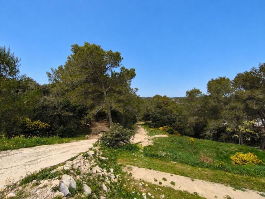 Image de terrain à Nîmes