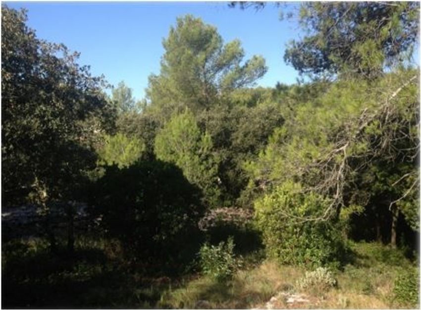Image de terrain à Meynes