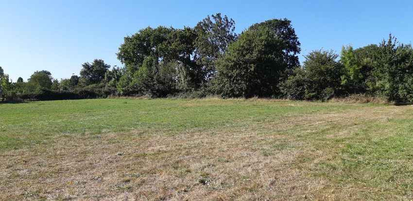 Image de terrain à Treillières