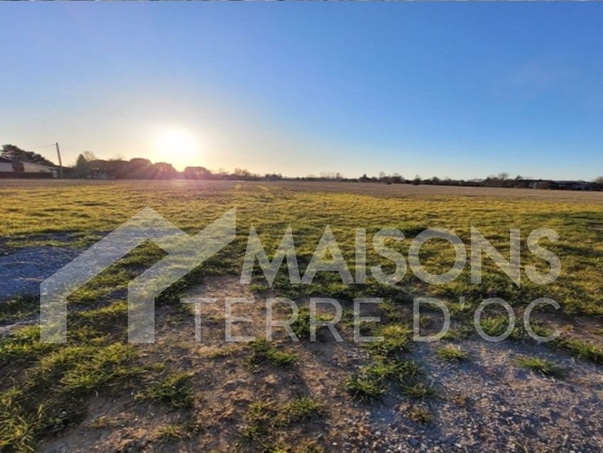 Image de terrain à Lisle-sur-Tarn