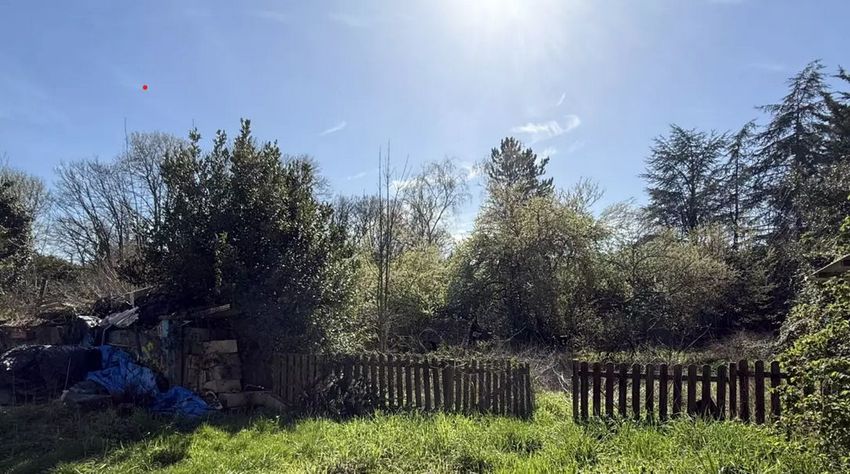 Image Jardin à  maison mitoyenne de Le Châtelet-en-Brie