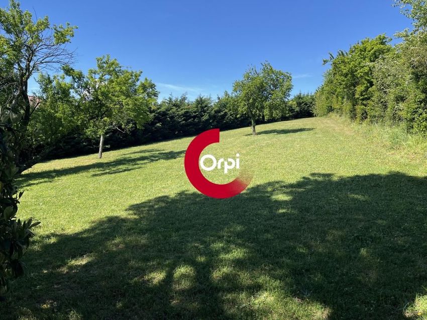 Image de terrain à Saint-Cyr-sur-le-Rhône