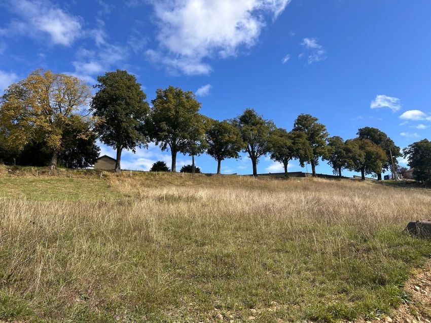 Image de terrain à Le Grand-Serre