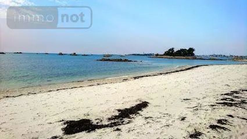 Image Vue à terrain de Roscoff