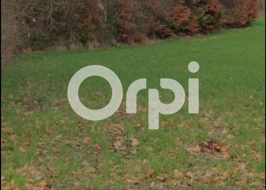 Image de terrain à Quint-Fonsegrives