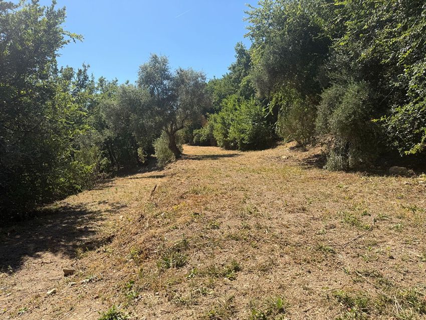 Image de terrain à Empurany