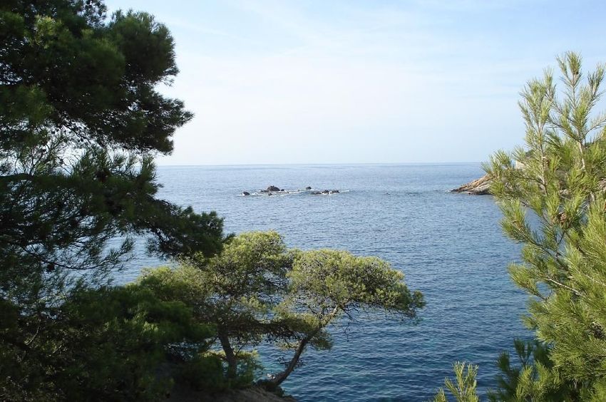 Image Vue à studio de Sausset-les-Pins