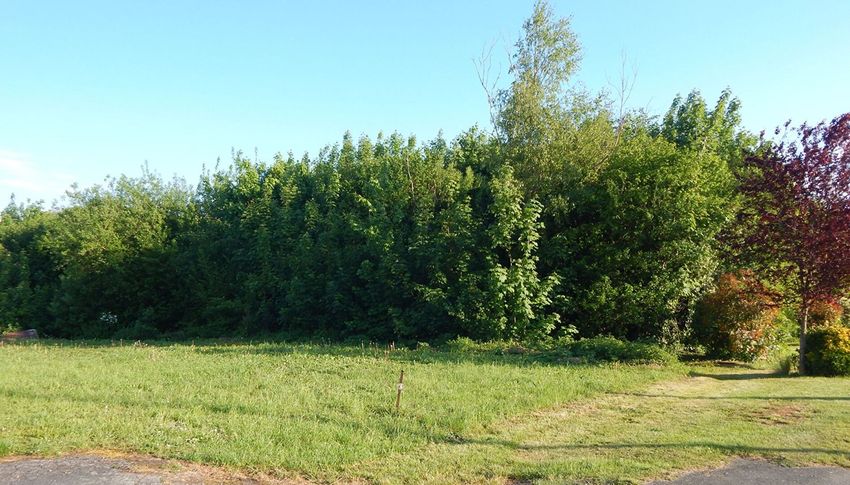 Image de terrain à Pont-Remy