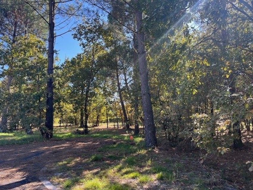 Image de terrain à Gujan-Mestras