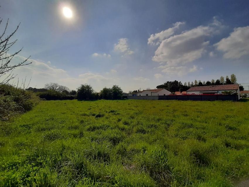 Image de terrain à Arvert