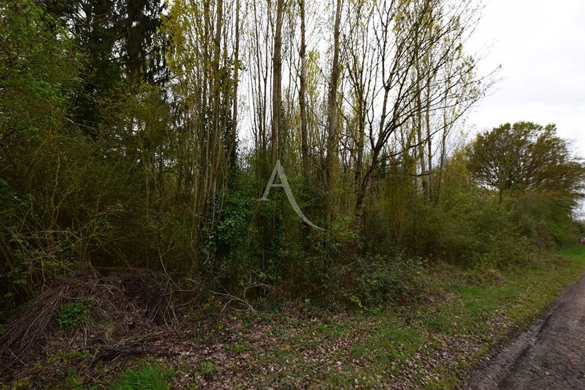 Image de terrain à Saint-Ouen-en-Brie