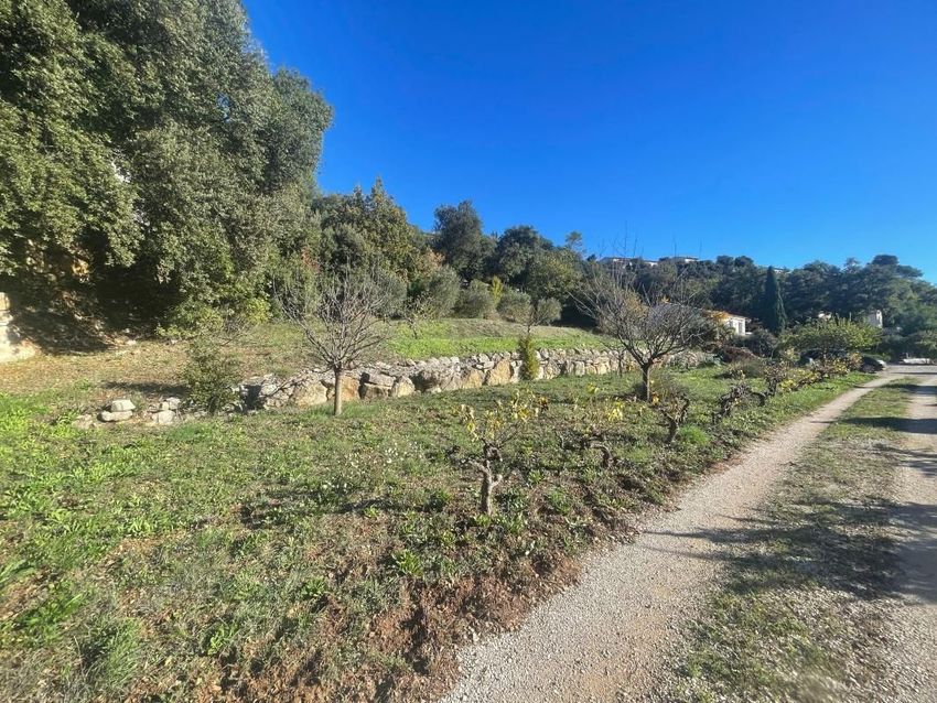 Image de terrain à Flassans-sur-Issole