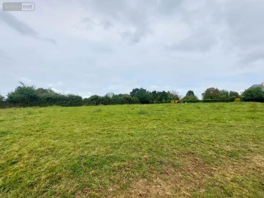 Image de terrain à Cossé-le-Vivien