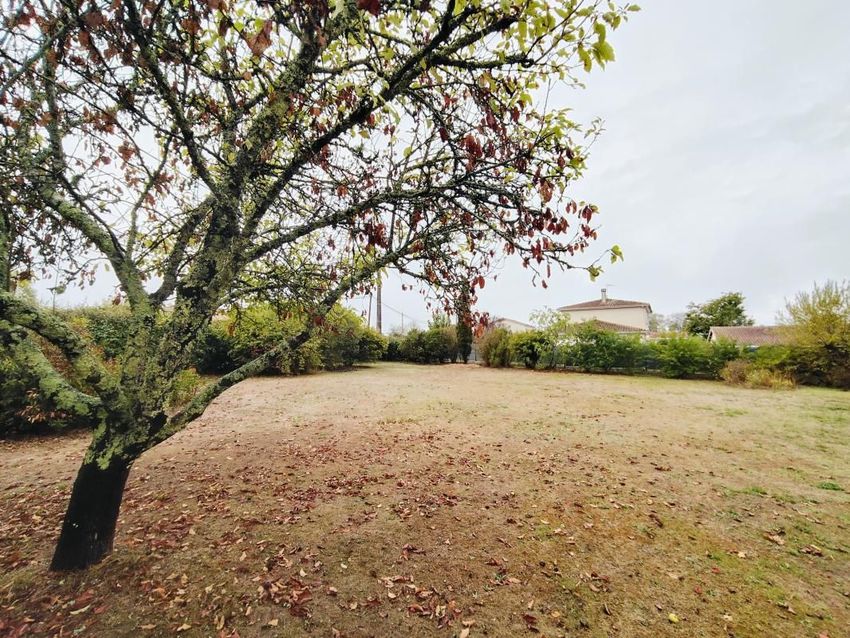 Image de terrain à Saint-Caprais-de-Bordeaux