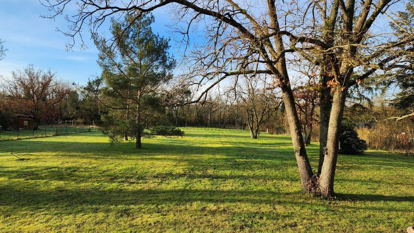 Image de terrain à Moisson