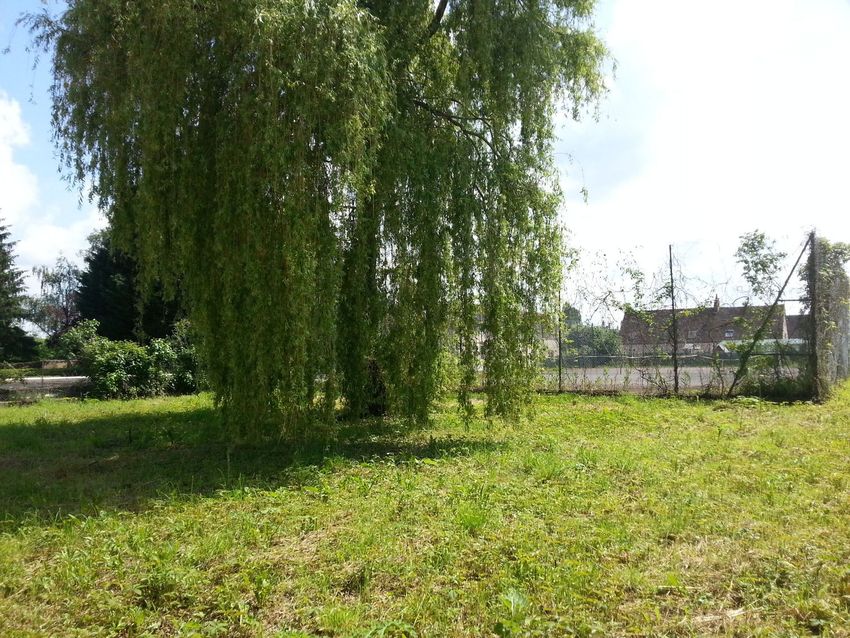 Image de terrain à Héry