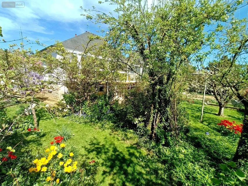 Image Jardin à  maison individuelle de Cesson-Sévigné