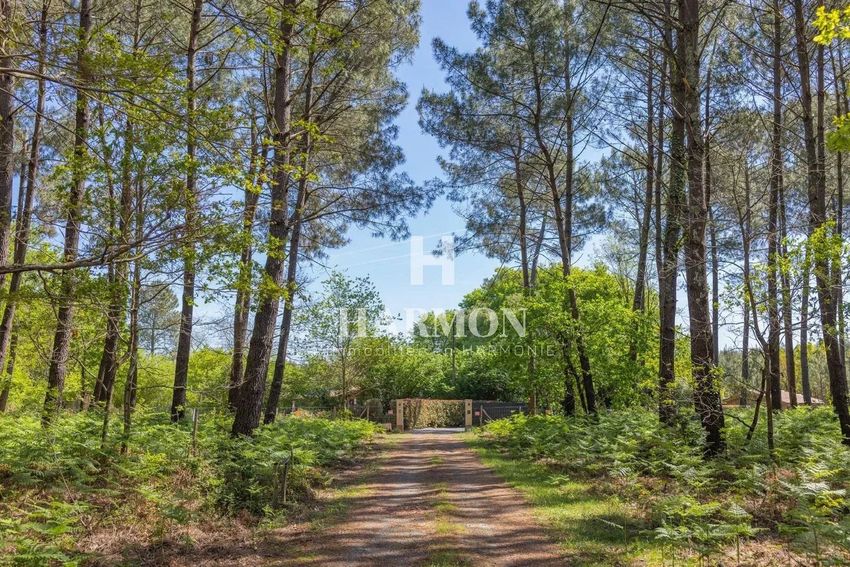 Image Jardin à  maison de maître de Sanguinet