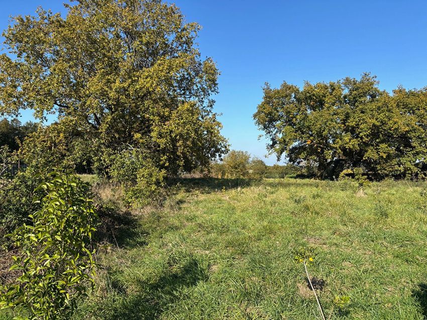 Image de terrain à Ligné