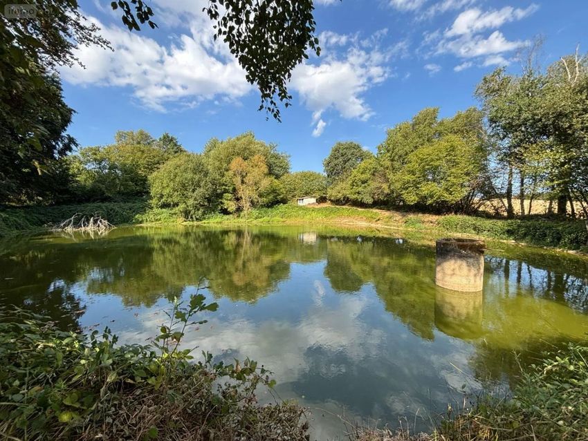 Image de terrain à Saint-Mars-sur-la-Futaie