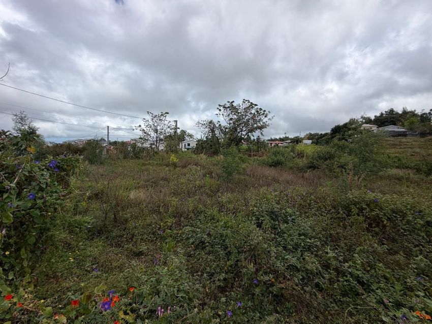 Image de terrain à Le Tampon