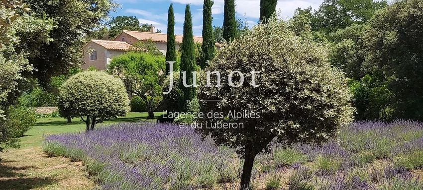 Image Jardin à  maison traditionnelle de Bonnieux