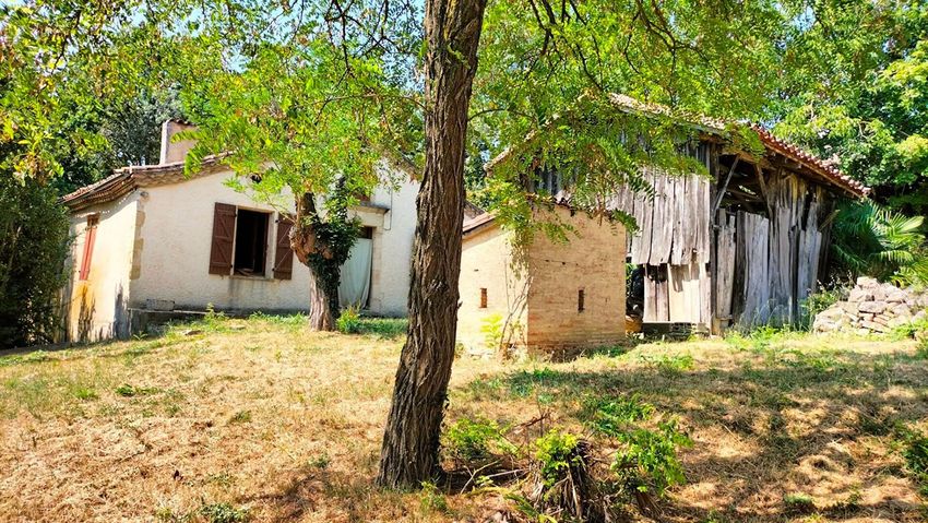 Image Jardin à  maison individuelle de Puycasquier