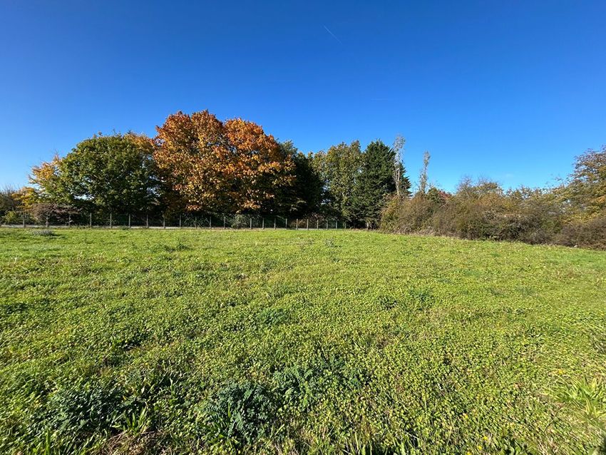 Image de terrain à Montigny-sur-Loing