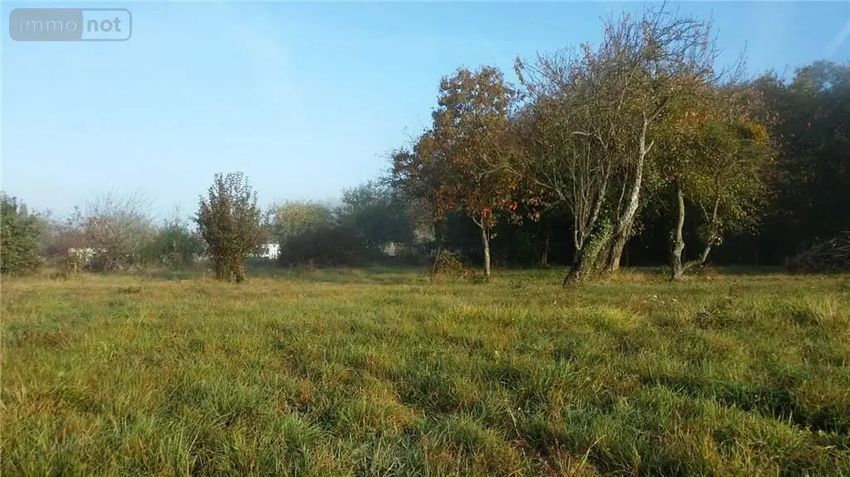 Image de terrain à Luçay-le-Mâle