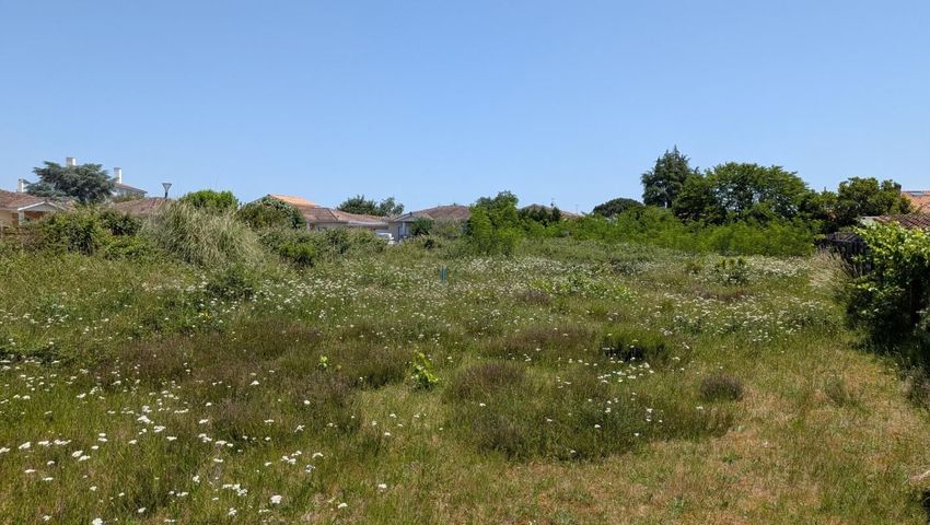 Image Vue à terrain de Saint-Médard-en-Jalles