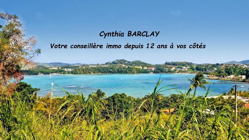 Image Vue à terrain de La Trinité