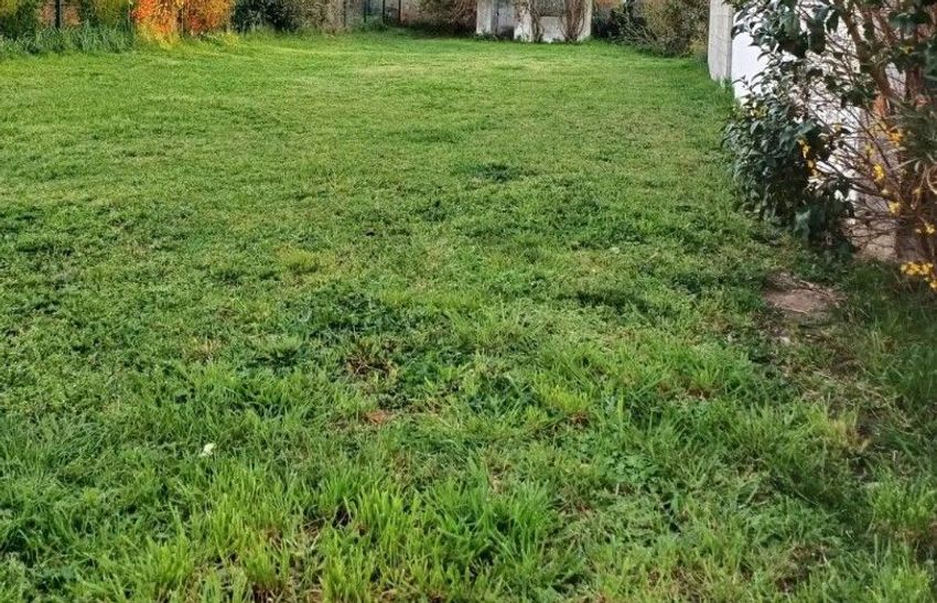 Image de terrain à Bordeaux