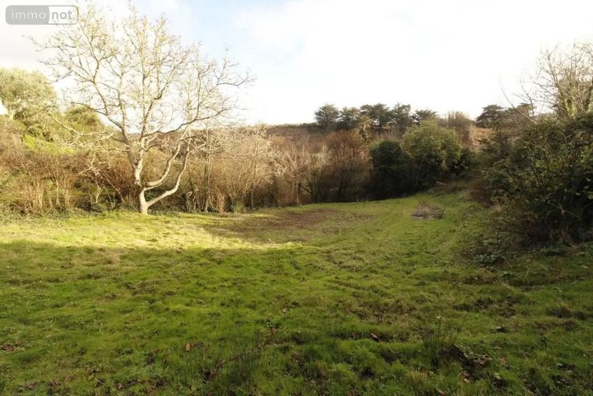 Image de terrain à Sauzon