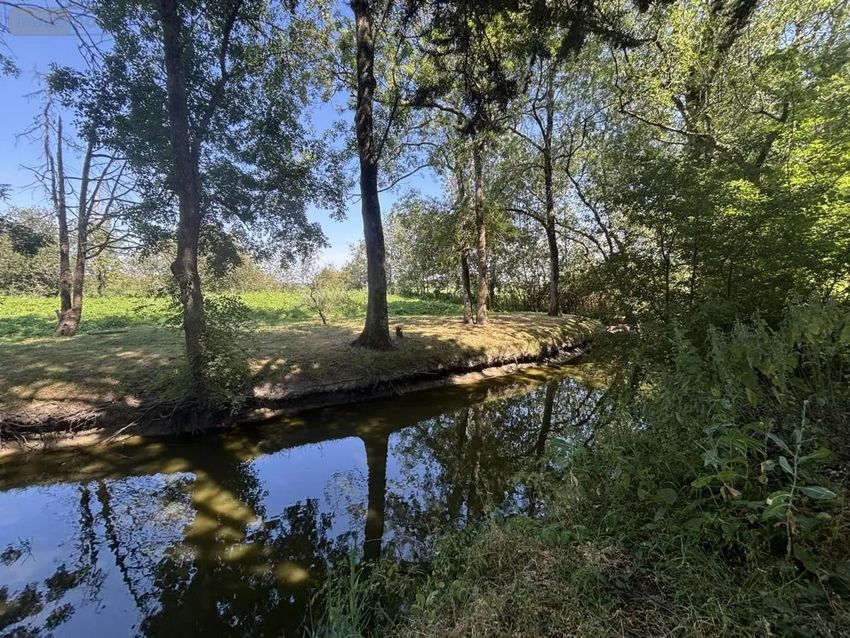 Image de terrain à Saint-Joachim