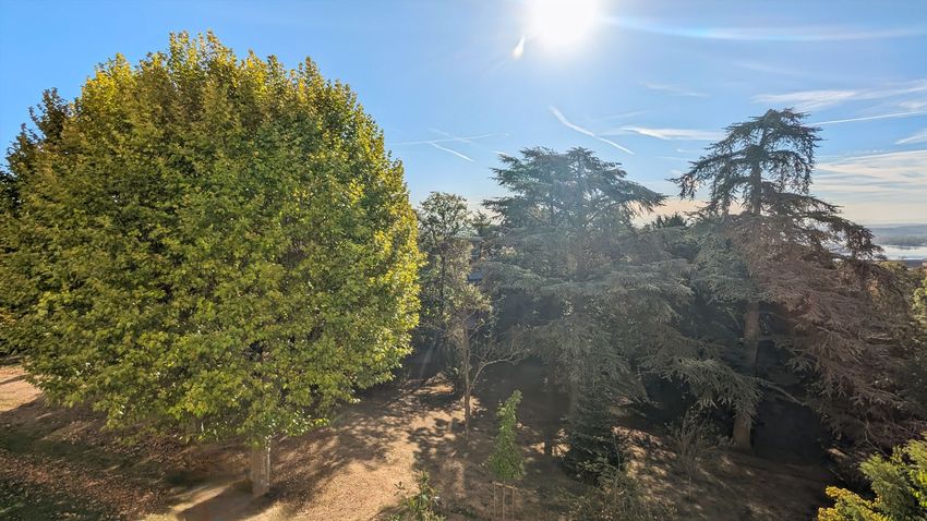 Image Jardin à appartement de La Mulatière