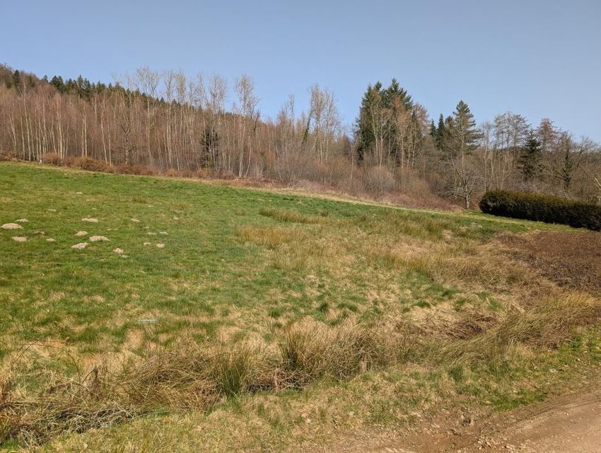 Image de terrain à Cleurie
