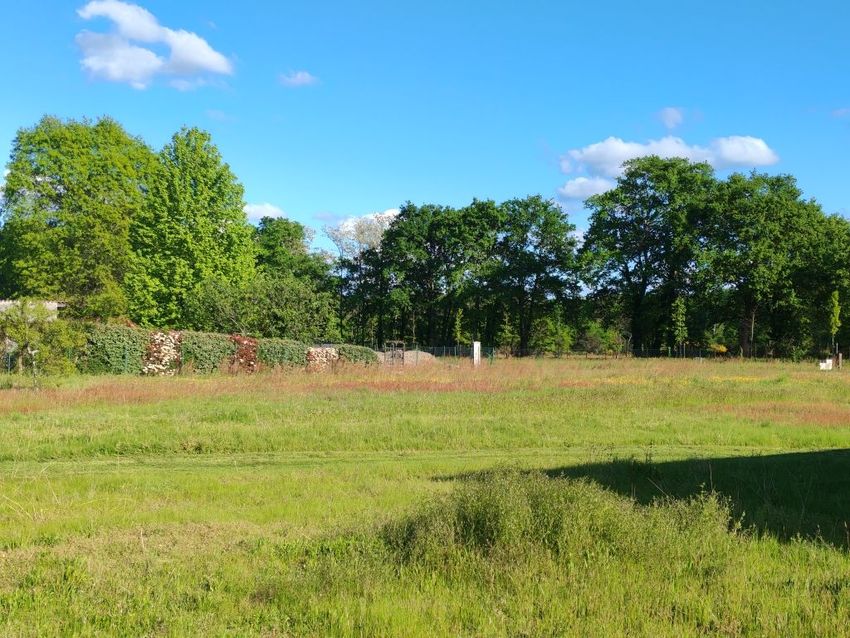 Image de terrain à Sort-en-Chalosse