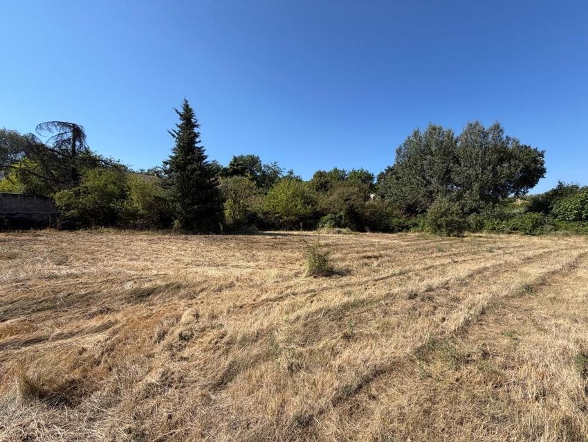 Image Vue à terrain de Bollène