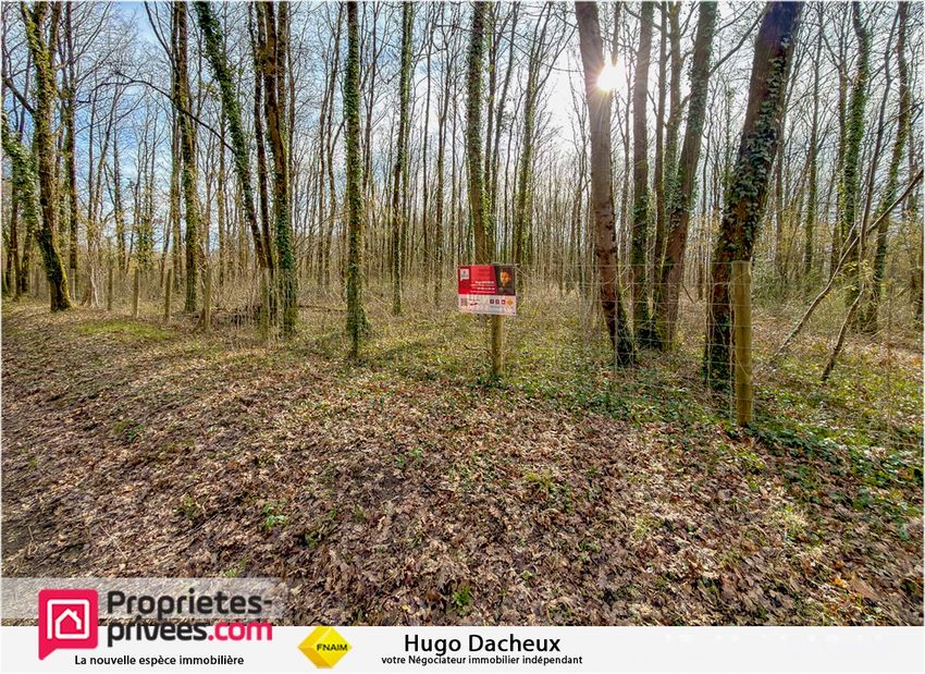 Image de terrain à Thénioux