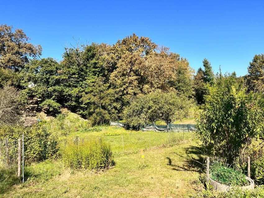 Image de terrain à Sames