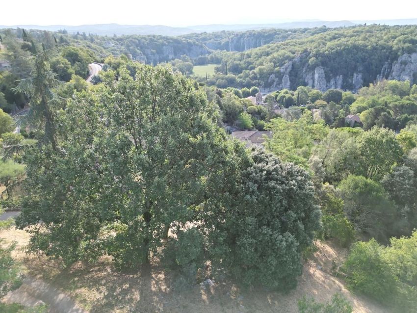 Image Vue à terrain de Labeaume
