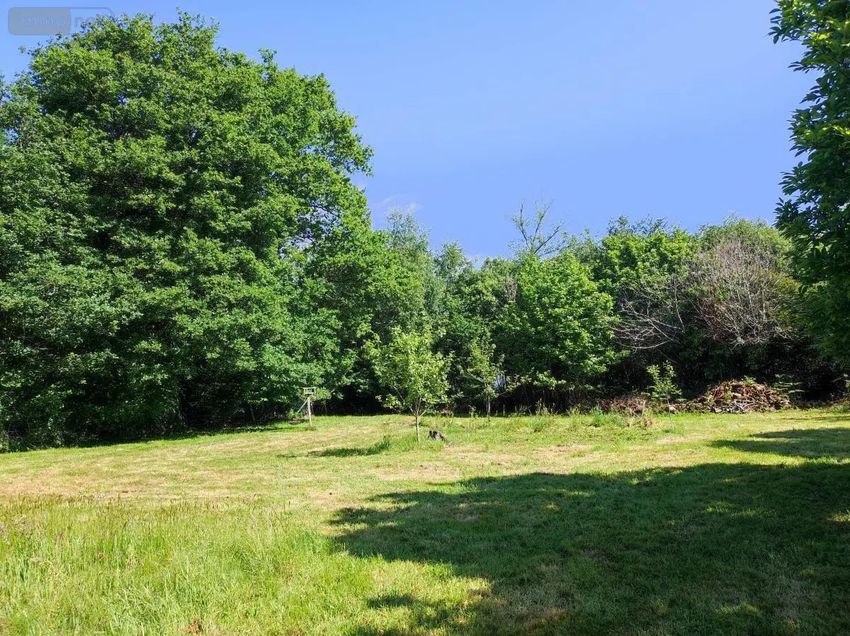 Image de terrain à Camors