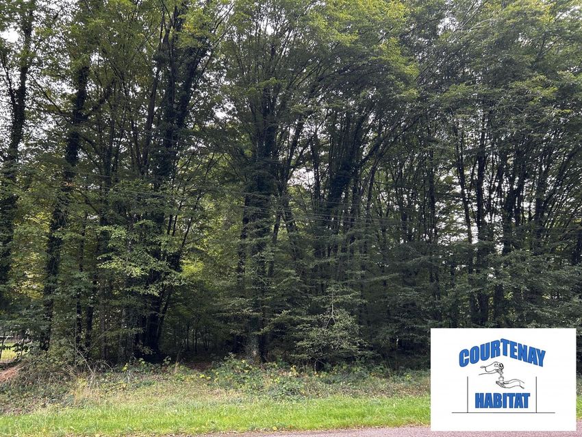 Image de terrain à Saint-Hilaire-les-Andrésis