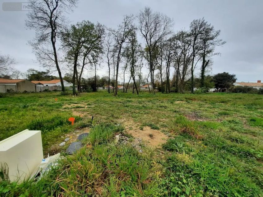Image de terrain à Saint-Hilaire-de-Riez