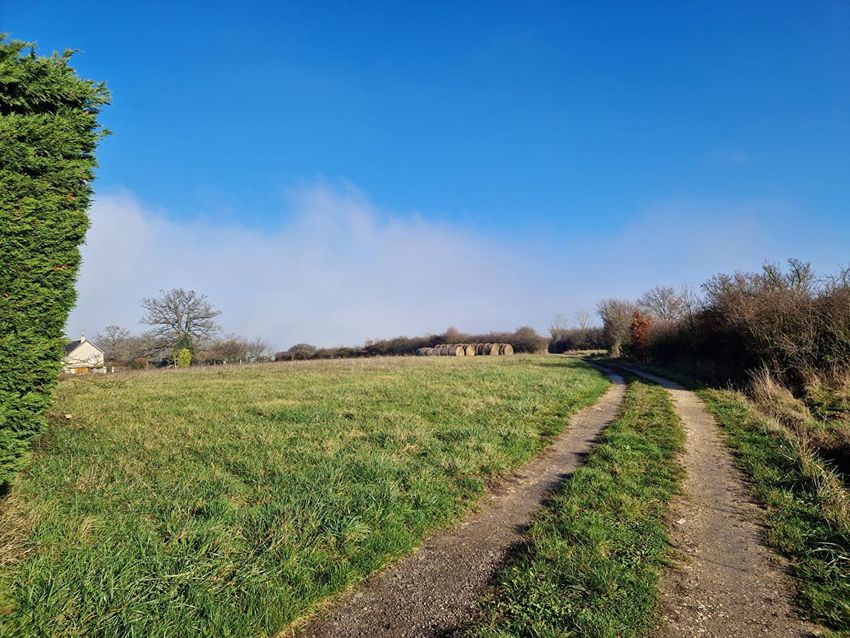 Image de terrain à Venoy