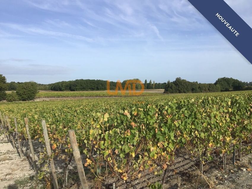 Image de terrain à Archiac