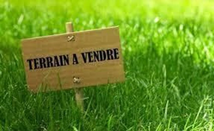 Image de terrain à Nexon
