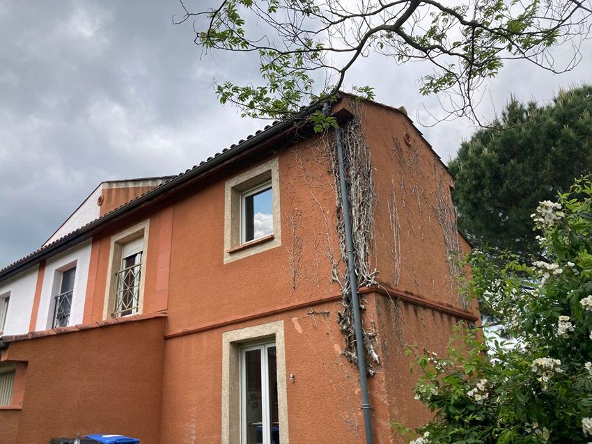 Image Façade à  maison individuelle de Montrabé