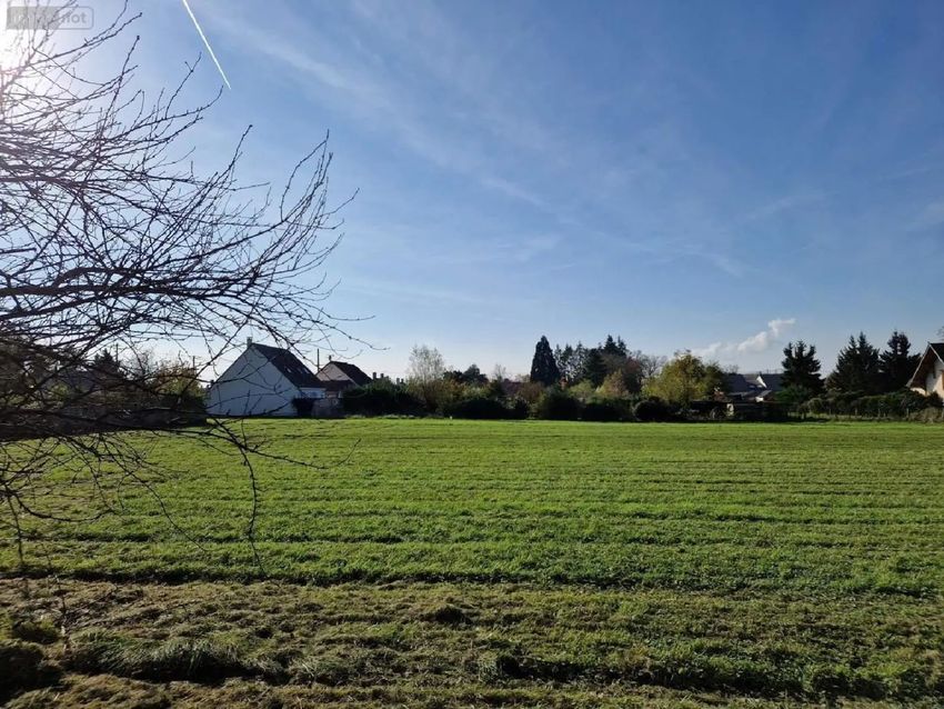 Image de terrain à Lailly-en-Val