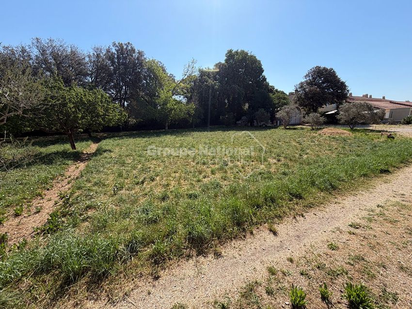 Image de terrain à Salon-de-Provence